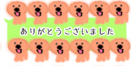 428834494