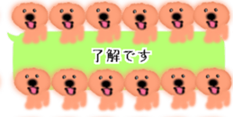 428834495