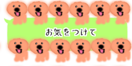 428834497