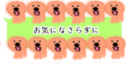 428834498