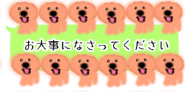 428834499