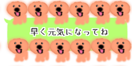 428834500