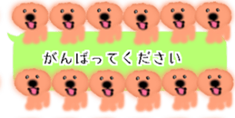 428834501