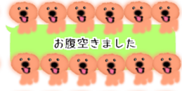 428834503