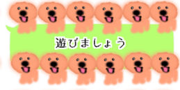 428834504