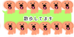 428834505