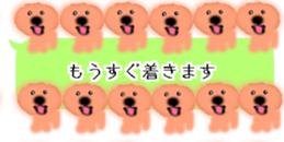 428834506