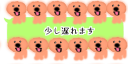 428834507