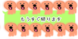 428834508