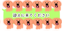 428834509