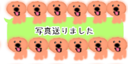 428834512