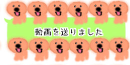 428834514