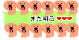 428834517