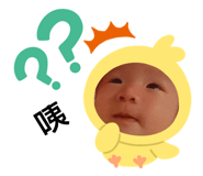 428853517