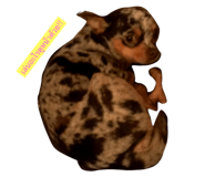 42885801