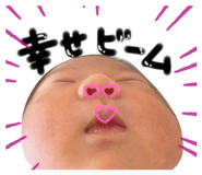 428877909