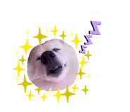 428893222