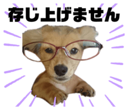 428907611