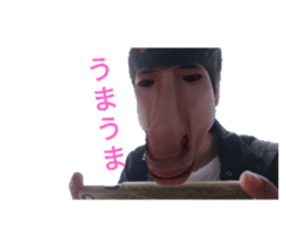 428947241