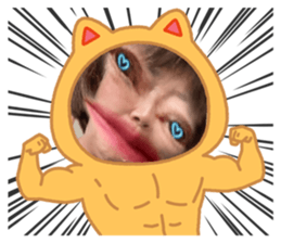 428953833