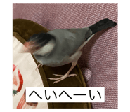 428958983