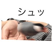 428958988