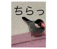 428958989