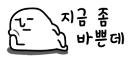 429005227
