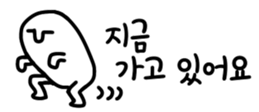 429005228