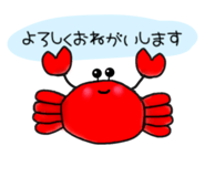 429010854
