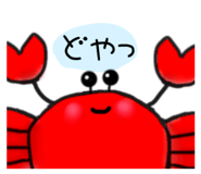 429010855