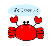 429010862