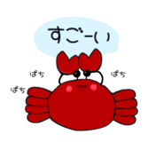 429010865