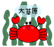 429010867