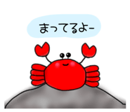 429010869