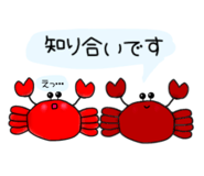 429010884