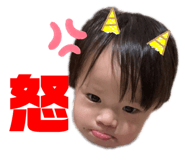 429011849