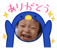 429011862