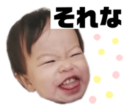 429011870