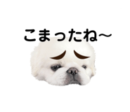 429028798