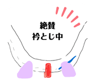 429030661