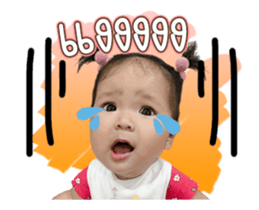 429046023
