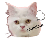 429059606