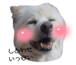 429082776