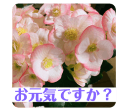 429104689
