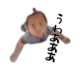429130805