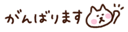 429150506