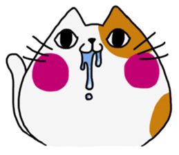 4292190