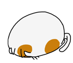 4292205