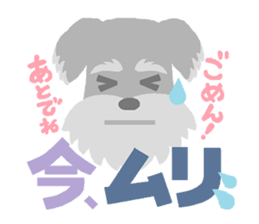 4292905